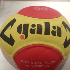leren volleybal, apex logo erop